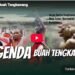Legenda Buah Tengkawang