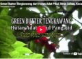 Green Butter Tengkawang dari Hutan Adat Pikul, Desa Sahan, Kecamatan Seluas, Kabupaten Bengkayang.