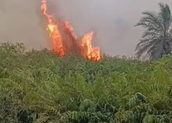 INTAN Salurkan Bantuan Alat Pemadam Kebakaran untuk Lindungi Hutan Gambut Kalibadung