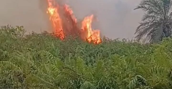 INTAN Salurkan Bantuan Alat Pemadam Kebakaran untuk Lindungi Hutan Gambut Kalibadung