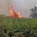 INTAN Salurkan Bantuan Alat Pemadam Kebakaran untuk Lindungi Hutan Gambut Kalibadung