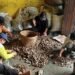 Panen Tengkawang Menyelamatkan Komunitas dari Bencana Kabut Asap